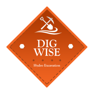 Dig Wise